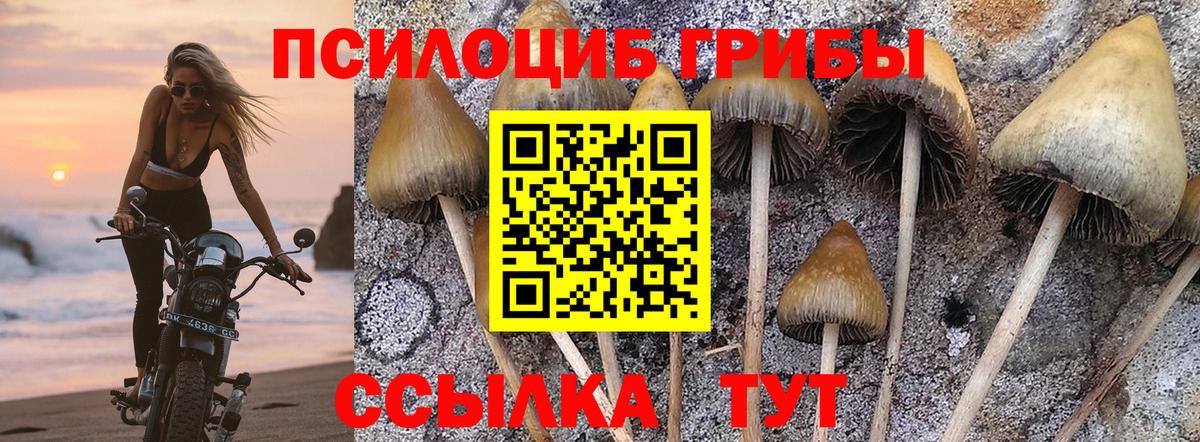Галлюциногенные грибы мухоморы Саянск